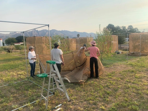 Students building experiments in the field