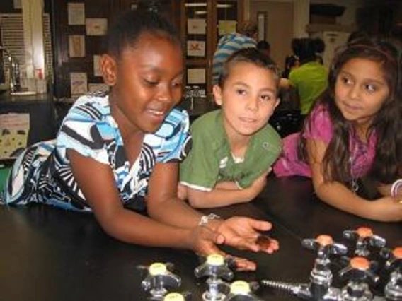 Students in Arizona k-12 learn about bugs through our insect discovery program