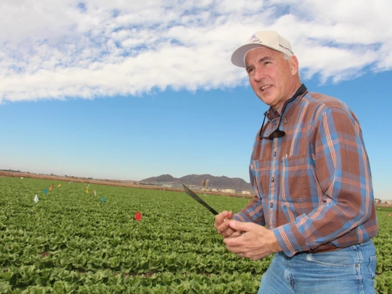 John Palumbo in a Yuma Agricultural field