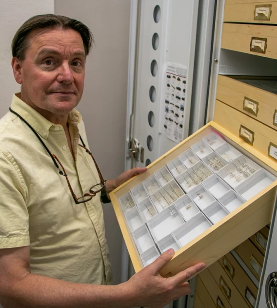 Gene Hall holds specimen collection in the UAIC