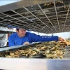 A research technician examines seaweed that has been dried.