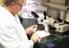 Luciano Matzkin in his lab